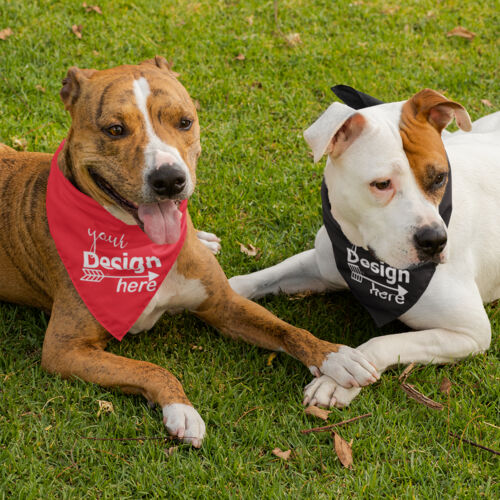 Dog Bandana (2-Pack) Thumbnail