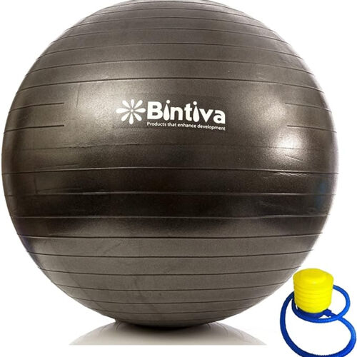 Exercise Ball Medium Thumbnail